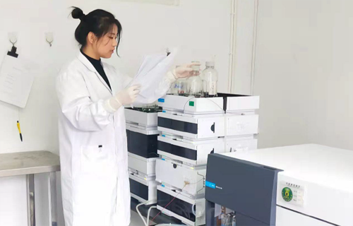 ���Ӽ���(�й�)�ɷݹ�˾-�ٷ���վ